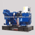 Reliable Operation and Best Price Lovol marinr generator(24KW-100KW) with CCS